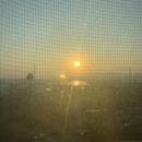 31140-9-85-13 | [1주차] 임당식단 후기, 혈당 기록, 임당루틴, 임당 빵 추천