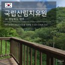 문필 | 경북 영주 국립산림치유원 문필 마을 자연휴양림 예약 방법 후기