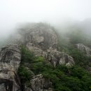 양지고속주유소 이미지