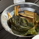 [경남 청도] igo 아이고 캠핑장 메타세콰이어 사이트 후기 (1,10)