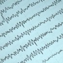 황제 동물병원 이미지