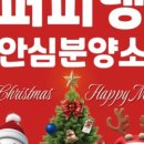 강아지탐험대 이미지