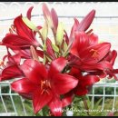 펜션빛뜨란 이미지