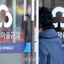 향토개발협동조합