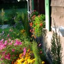 타샤의 정원 이미지