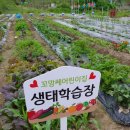 꼬망세어린이집 이미지