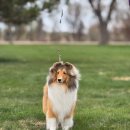 여주켄넬 이미지