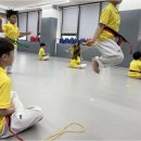 경희대명품꿈나무 태권도장 네이버블로그