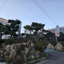 아리아 영계백숙 왕갈비탕 | 울산가족모임 분위기 좋은 아리아 영계백숙 왕갈비탕