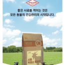 대주로 이미지