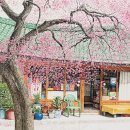 우리동네구멍가게 - 고양시 일산서구 주엽로 80 | 우리동네구멍가게