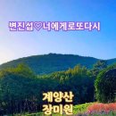 계양산 장미원. 변진섭-너에게로 또다시. 이미지