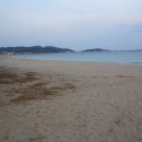 울진대게집일출 이미지