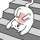 케이스풀빌라 이미지