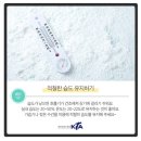 왕호태권도 이미지