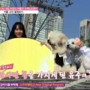 강아지를 부탁해 이미지