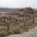 연천학곡리적석총 이미지