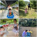 봉기농장 이미지