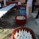 경화초등학교 이미지