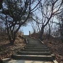 은지초등학교 이미지