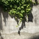 푸라닭전북대점 | 23년 4월 두번째 일상