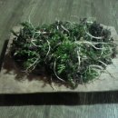 고달할머니 이미지