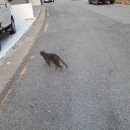 CU맞은편 이미지