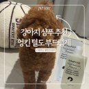 미용하는 강아지 | 장모견 강아지샴푸 | 스탬푸드 밸런싱샴푸로 푸들 목욕해 본 후기
