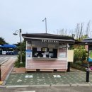 주말 서울 아기랑 나들이 - 하늘공원. 억새축제 추천 vs 평상시 실망. 맹꽁이 열차 후기