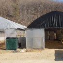 수현목장 네이버블로그