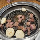 송도갈매기동탄점 | 능동 고기집 송도갈매기 내돈내산 후기
