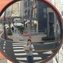 태연주유소 | [LA Day2] 키빠 조슈아 트리 투어🐫🌵✨ | 별 잘 보이는 날씨 | 투어 날짜 선정 팁 | 조슈아 투어 업체...