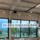 솔라시카페