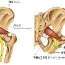 경희이촌한의원
