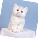 (주)리얼화이트 이미지