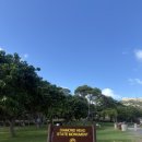 호돌이관광식당 이미지