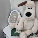39주 임산부 왁싱 후기 | 광교 제이왁싱앤테라피✨