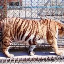 영상농장2 이미지