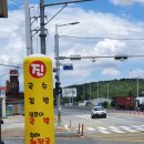 진국수 이미지