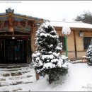 들꽃피는언덕 이미지