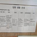 레몬산부인과의원 | 송파 고은빛 산부인과 응급 제왕 출산 후기 (feat. 오소영 원장님)