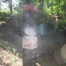 표교초교 이미지