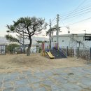 라파미 D 이미지