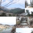 솔밭팬션 이미지