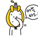 스피드메이트 울산호계 이미지