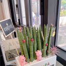 대단한탕후루 상봉점 이미지