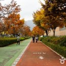 스포원파크 Daum카페