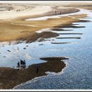 백사장해변 이미지