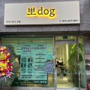 뽀dog 이미지