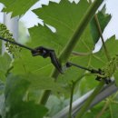 보라농장 이미지